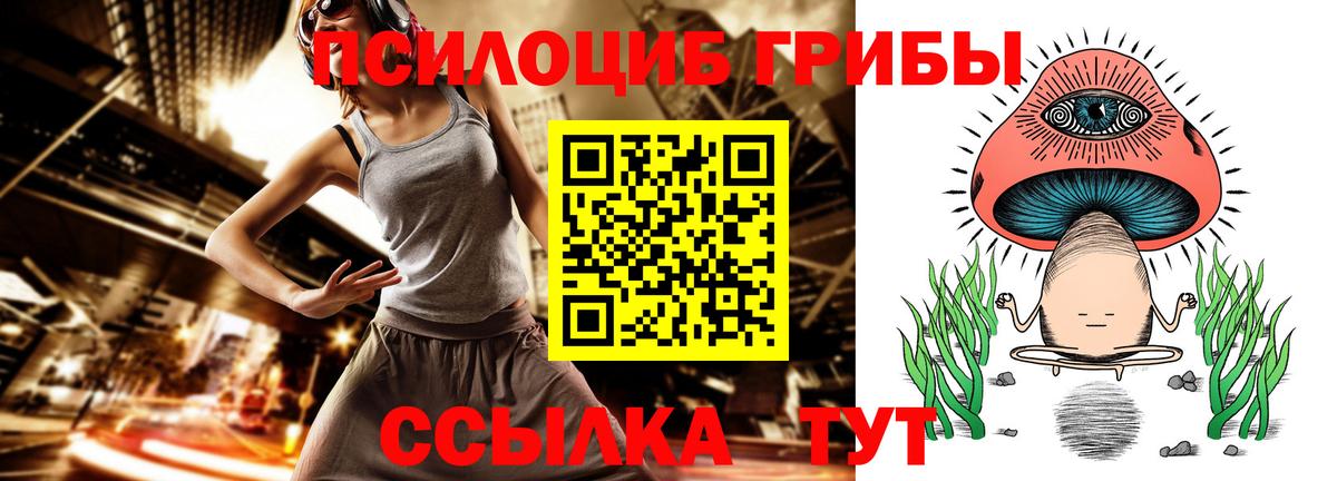 Псилоцибиновые грибы MAGIC MUSHROOMS  Вход с VPN  Галлюциногенные грибы GOLDEN TEACHER  Белгород 